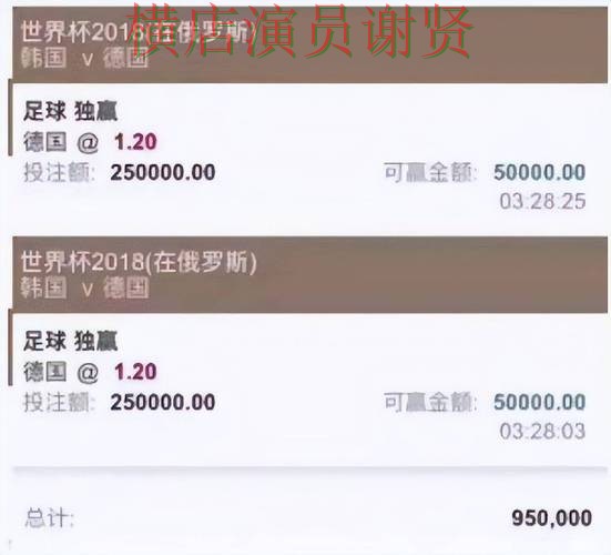精选世界杯投注平台推荐：从直播入口到使用全流程解析 - 世界杯全球总决赛